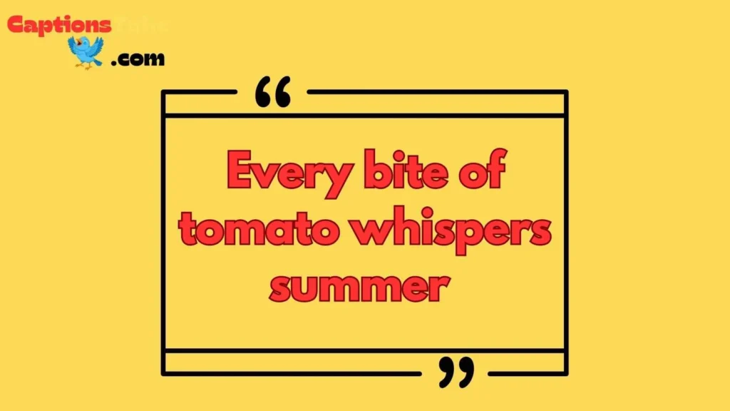 Tomatoes Quotes