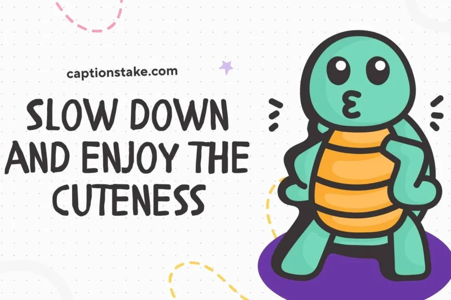 Turtle Captions For Instagram