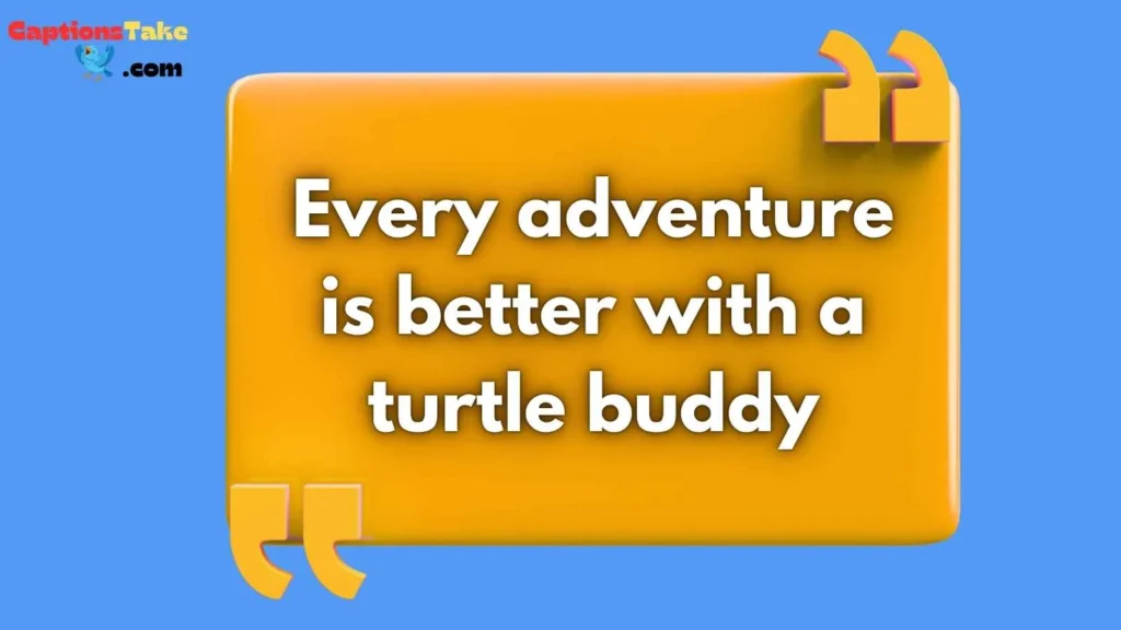 Turtle Friendship Captions