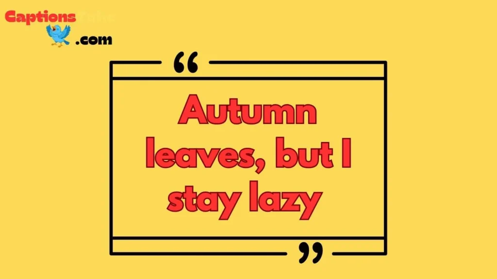 Best Autumn for Instagram Captions Funny