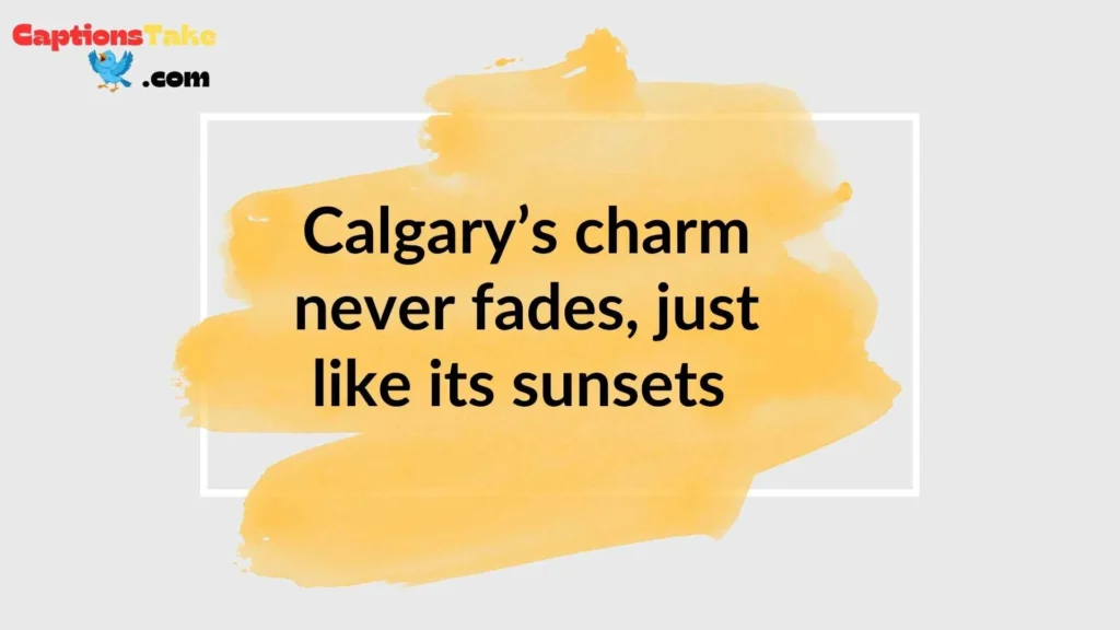 Best Calgary Instagram Captions