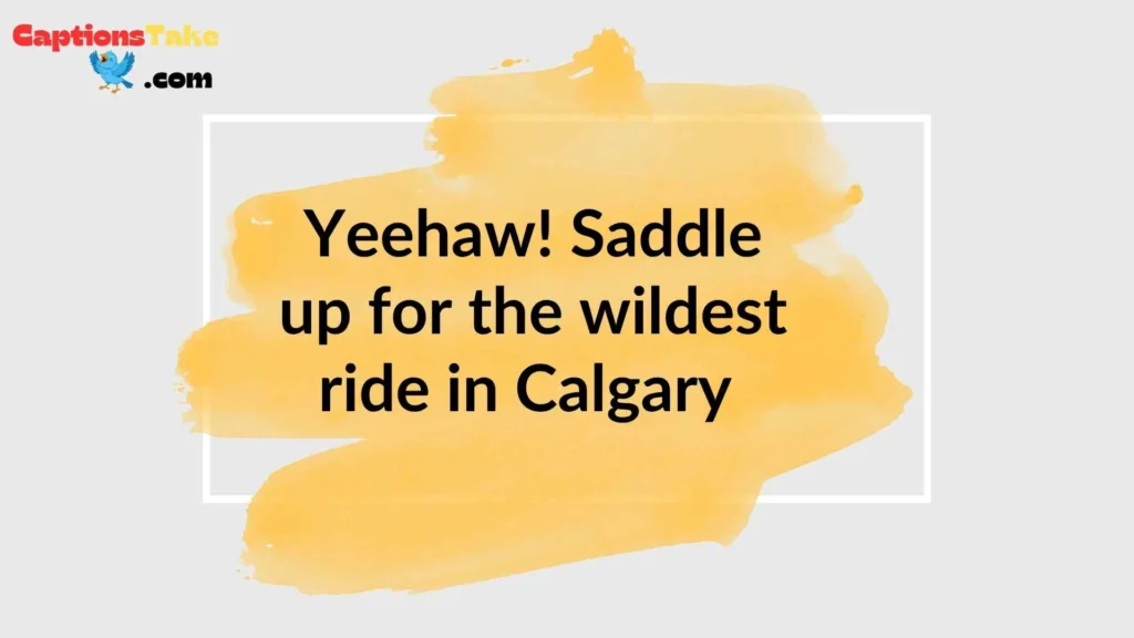 Calgary Stampede Captions