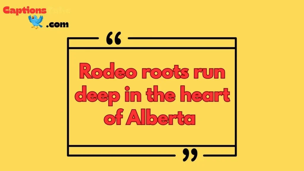 Calgary stampede quotes