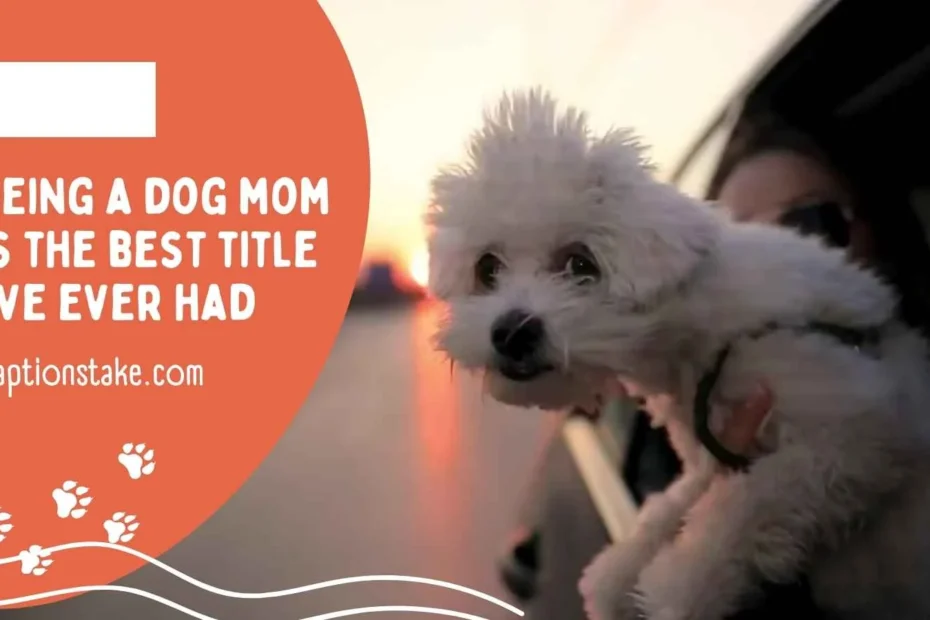 Dog Mom Instagram Captions