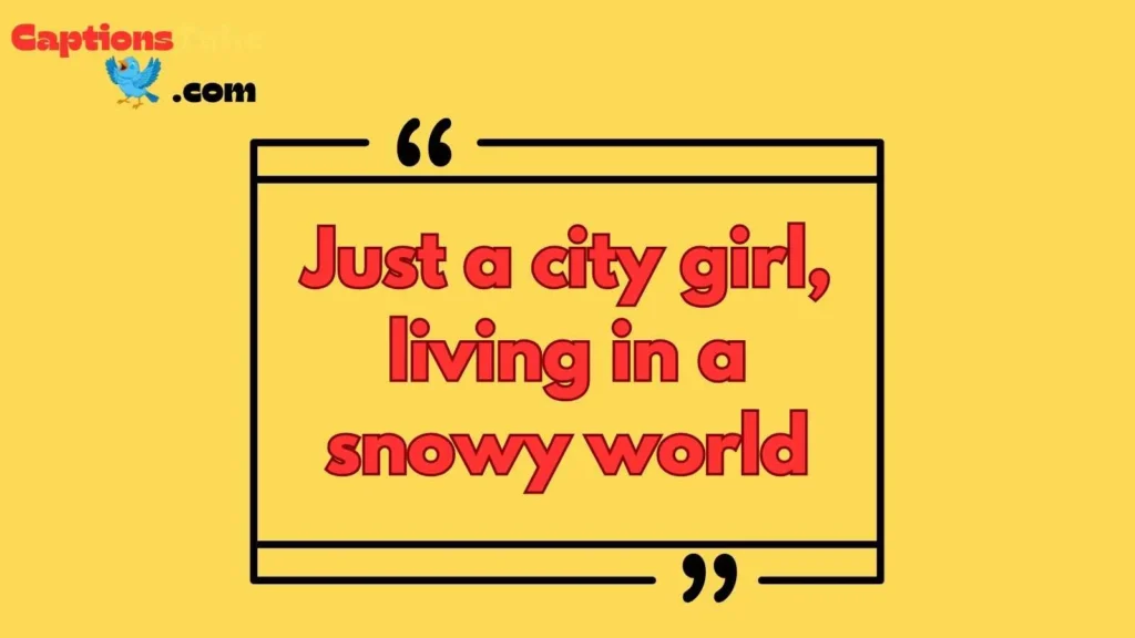 Funny Calgary Captions