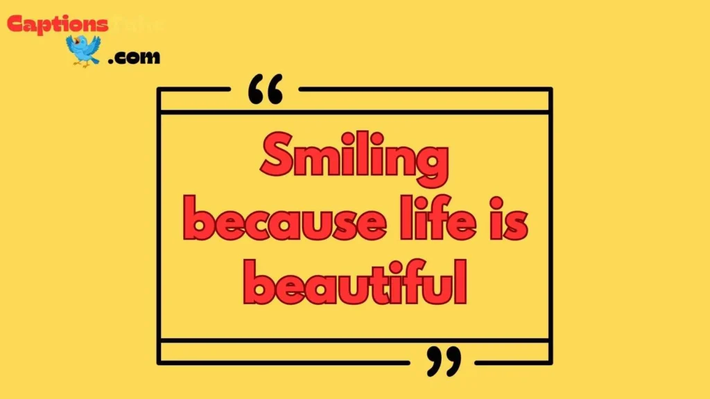 Selfie and Aesthetic Phone Captions