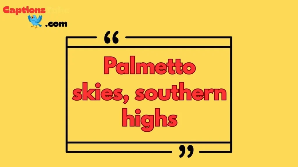 South Carolina Instagram Captions