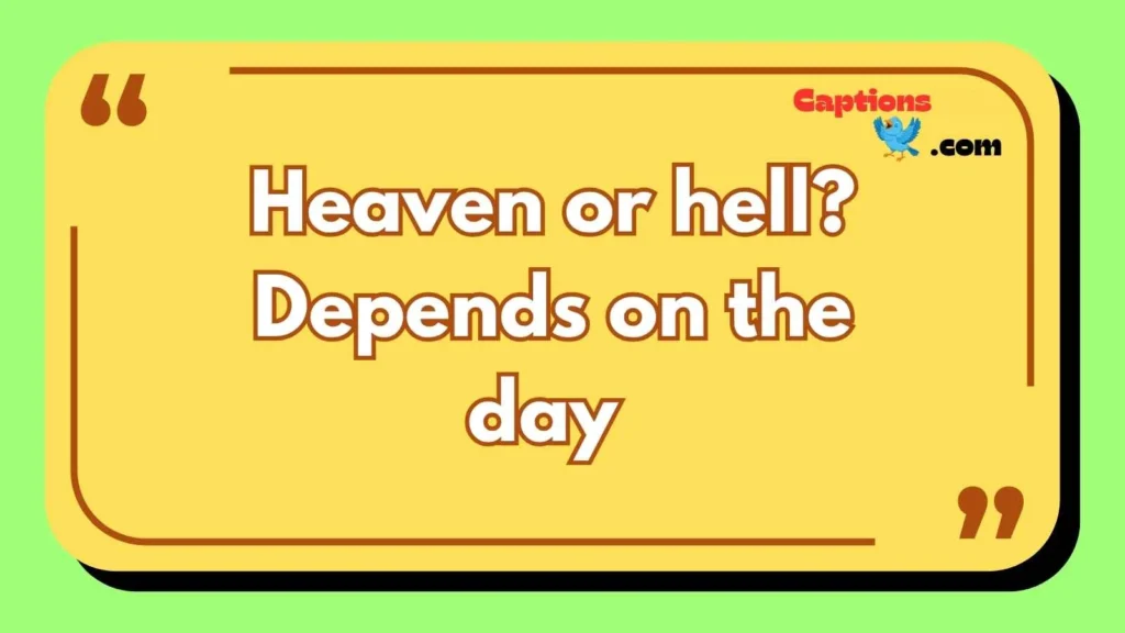 Angel and Devil Duality Captions