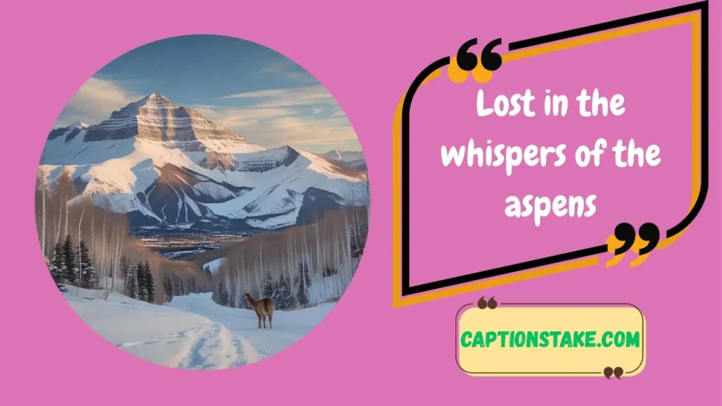 Aspen Captions for Instagram