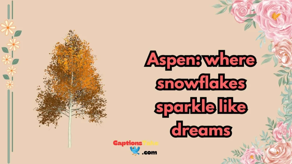 Aspen Winter Captions