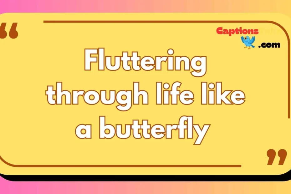 butterfly captions for Instagram