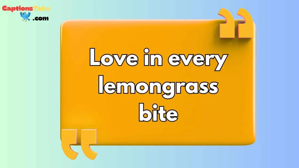 Captions for Thai Food Lovers