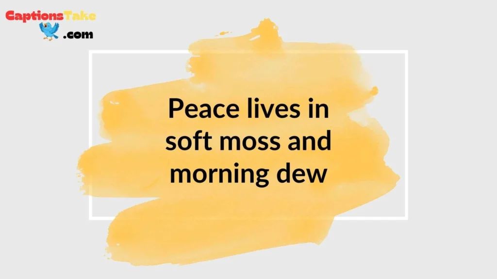 Cottagecore Aesthetic Captions