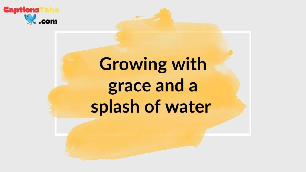 Cute Plant Captions for Instagram