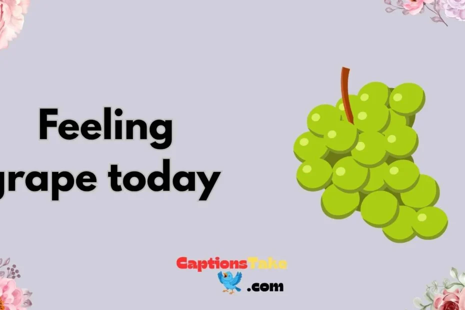 fruit captions