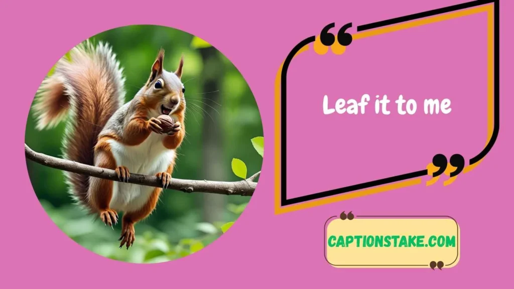 Funny Nature Captions