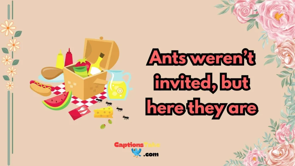  Funny Picnic Captions