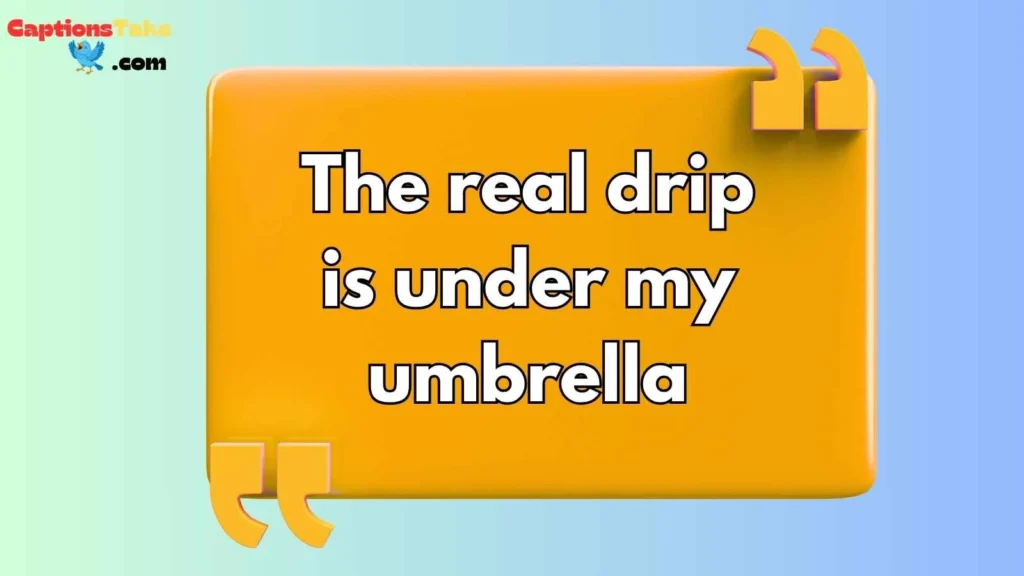 Funny Umbrella Captions