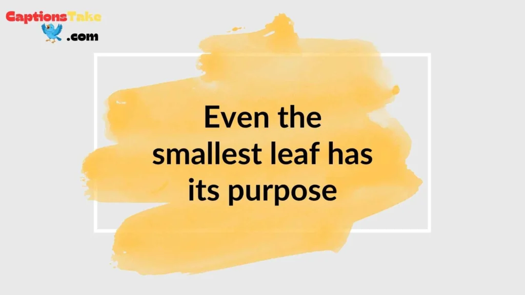 Inspirational Plant Captions