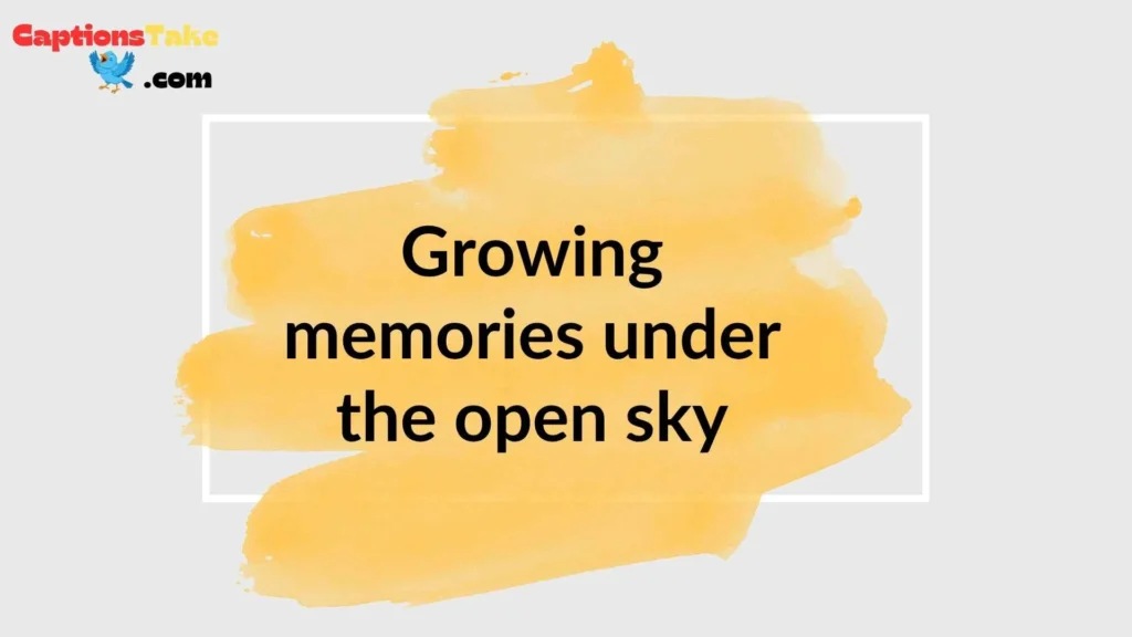 Instagram with Friends