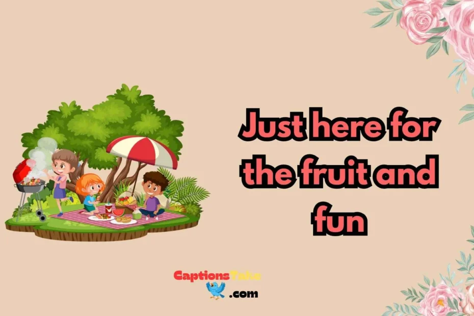 picnic captions