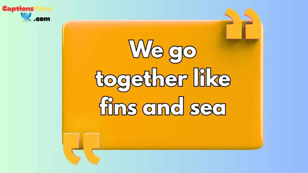 Romantic Shark Captions