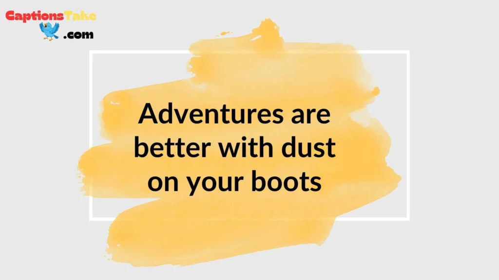 Safari Captions for Instagram