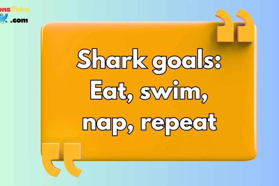 Shark Captions for Instagram