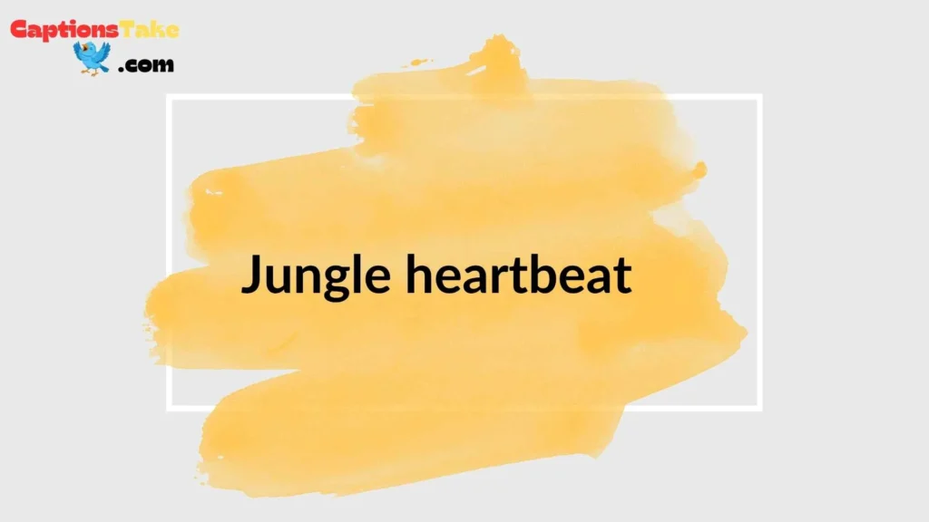 Short Safari Captions