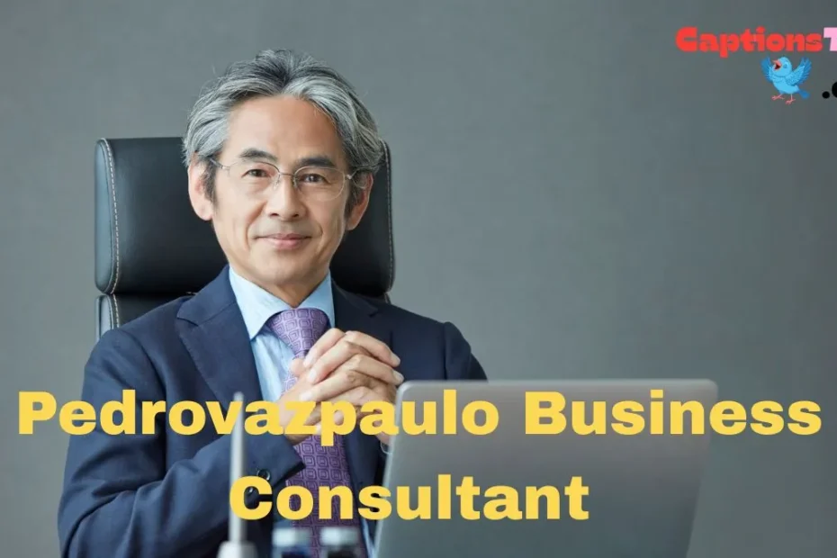 Pedrovazpaulo Business Consultant